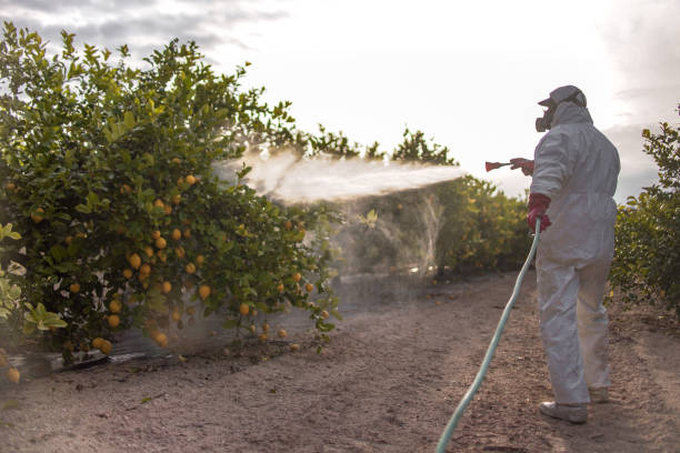 Professional Pest Control in Las Vegas, NV