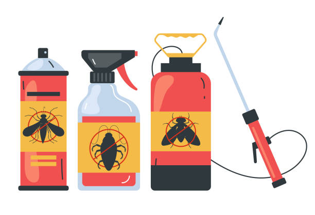 Best Affordable Pest Control Services  in Las Vegas, NV
